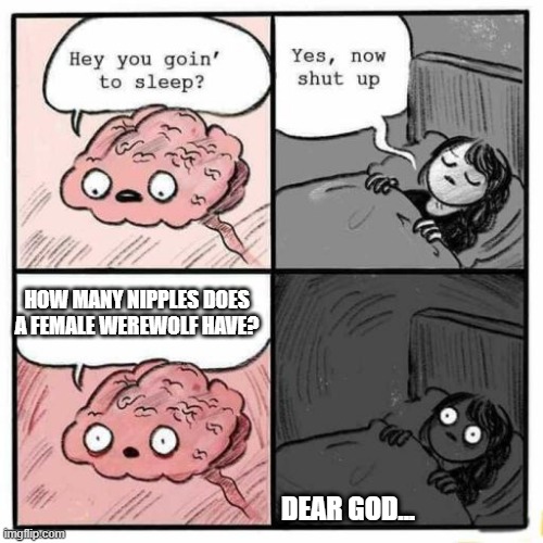 Questions that keep me up at night. | HOW MANY NIPPLES DOES A FEMALE WEREWOLF HAVE? DEAR GOD... | image tagged in hey you going to sleep | made w/ Imgflip meme maker