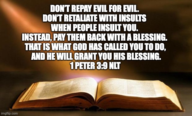 1 Peter 3:9 NLT | DON’T REPAY EVIL FOR EVIL. 
DON’T RETALIATE WITH INSULTS 
WHEN PEOPLE INSULT YOU. 
INSTEAD, PAY THEM BACK WITH A BLESSING. 
THAT IS WHAT GOD HAS CALLED YOU TO DO,
 AND HE WILL GRANT YOU HIS BLESSING.
1 PETER 3:9 NLT | image tagged in bible,1 peter,new testament,violence | made w/ Imgflip meme maker