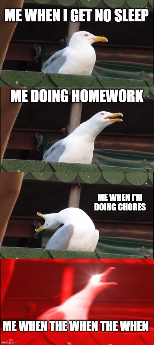me when i the when you when | ME WHEN I GET NO SLEEP; ME DOING HOMEWORK; ME WHEN I'M DOING CHORES; ME WHEN THE WHEN THE WHEN | image tagged in memes,inhaling seagull | made w/ Imgflip meme maker