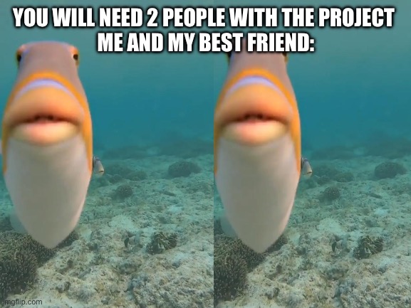 We are doing a Pharaoh project and we chose Pepi II perfection | YOU WILL NEED 2 PEOPLE WITH THE PROJECT 
ME AND MY BEST FRIEND: | image tagged in memes,meme,lol,haha,funny,fun | made w/ Imgflip meme maker