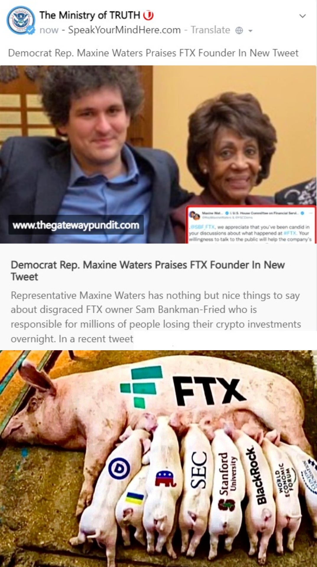 Add Maxine Waters to the List of Uniparty Piglets Suckling on the FTX Cash Sow | image tagged in uniparty piglets,sbf,ftx,cash cow,cash sow,government corruption | made w/ Imgflip meme maker