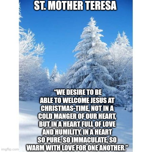 Full of Love | ST. MOTHER TERESA; “WE DESIRE TO BE ABLE TO WELCOME JESUS AT CHRISTMAS-TIME, NOT IN A COLD MANGER OF OUR HEART, BUT IN A HEART FULL OF LOVE AND HUMILITY, IN A HEART SO PURE, SO IMMACULATE, SO WARM WITH LOVE FOR ONE ANOTHER.” | image tagged in god,catholic,manager,christmas,mother,love | made w/ Imgflip meme maker