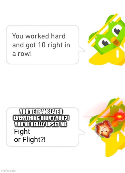 Duolingo 10 in a Row | YOU'VE TRANSLATED EVERYTHING DIDN'T YOU?! YOU'VE REALLY UPSET ME; Fight or Flight?! | image tagged in duolingo 10 in a row | made w/ Imgflip meme maker