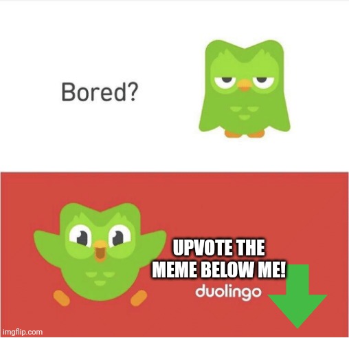 DUOLINGO BORED | UPVOTE THE MEME BELOW ME! | image tagged in duolingo bored | made w/ Imgflip meme maker