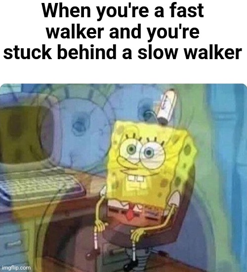 Don't you hate this? | When you're a fast walker and you're stuck behind a slow walker | image tagged in blank white template,spongebob screaming inside | made w/ Imgflip meme maker