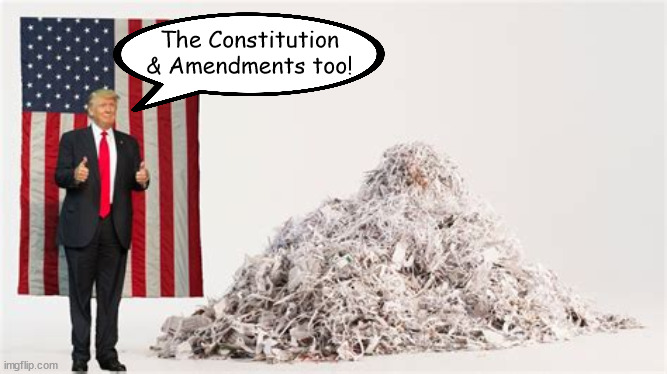 Trumpinator.. | The Constitution & Amendments too! | image tagged in donald trump,constitution,terminated,traitor,idiot | made w/ Imgflip meme maker