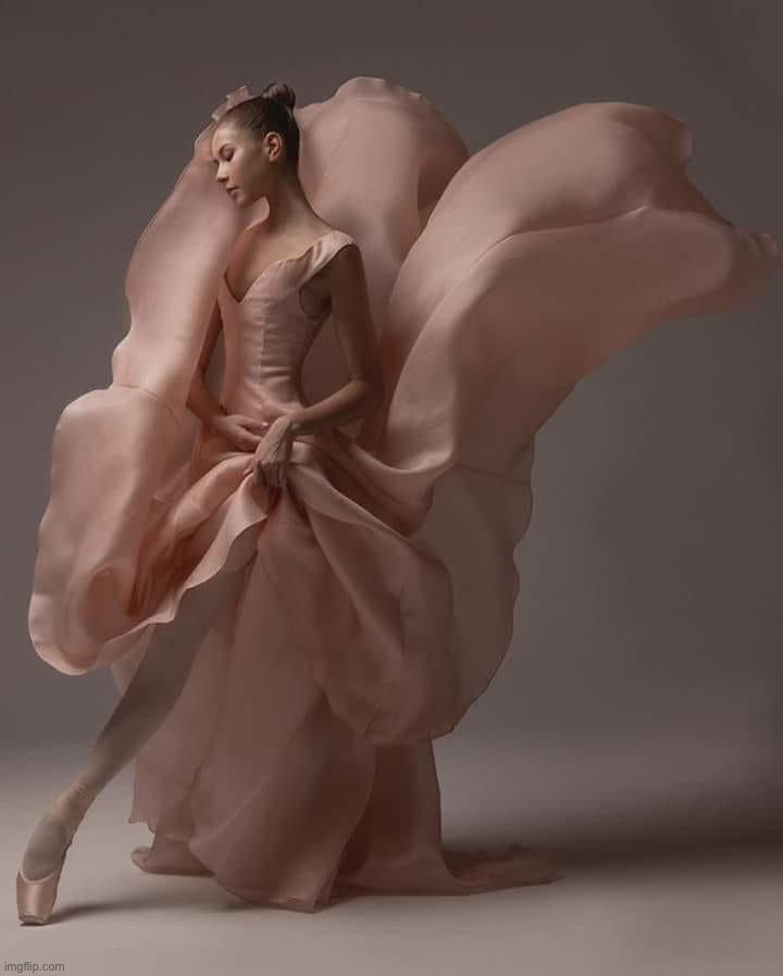 Elizaveta Chertikhina | image tagged in elizaveta chertikhina | made w/ Imgflip meme maker