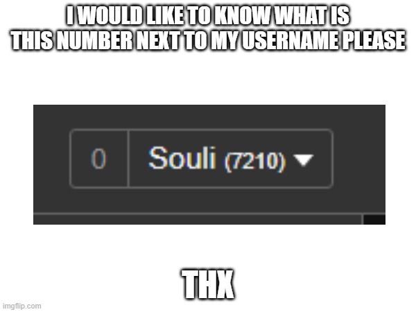 it increases every day | I WOULD LIKE TO KNOW WHAT IS THIS NUMBER NEXT TO MY USERNAME PLEASE; THX | image tagged in help me,please help me,thanks | made w/ Imgflip meme maker
