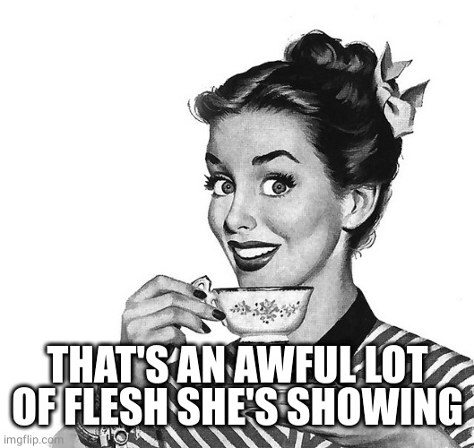 Retro woman teacup | THAT'S AN AWFUL LOT OF FLESH SHE'S SHOWING | image tagged in retro woman teacup | made w/ Imgflip meme maker