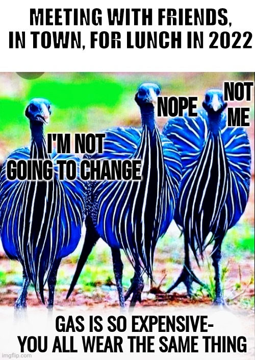 ONLY BIG CHANGE WAS ON TWITTER | MEETING WITH FRIENDS, IN TOWN, FOR LUNCH IN 2022; NOT ME; NOPE; I'M NOT GOING TO CHANGE; GAS IS SO EXPENSIVE- YOU ALL WEAR THE SAME THING | image tagged in gas prices,political meme,they are the same picture,meeting,twitter | made w/ Imgflip meme maker