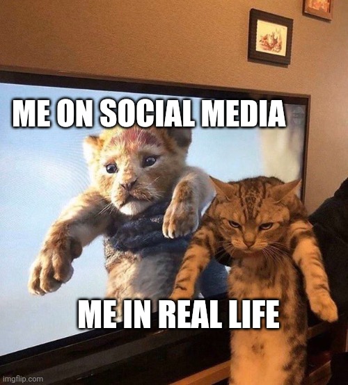 Introvert me | ME ON SOCIAL MEDIA; ME IN REAL LIFE | image tagged in introverts,cats,online | made w/ Imgflip meme maker