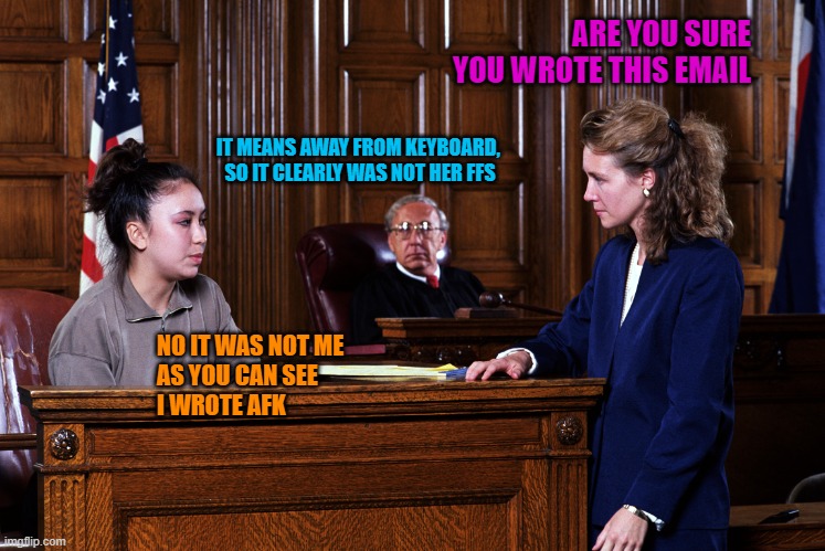 Courtroom | ARE YOU SURE YOU WROTE THIS EMAIL; IT MEANS AWAY FROM KEYBOARD, 
SO IT CLEARLY WAS NOT HER FFS; NO IT WAS NOT ME 
AS YOU CAN SEE
I WROTE AFK | image tagged in courtroom | made w/ Imgflip meme maker