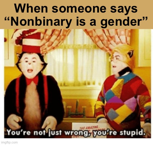 You're not just wrong your stupid | When someone says “Nonbinary is a gender” | image tagged in you're not just wrong your stupid | made w/ Imgflip meme maker