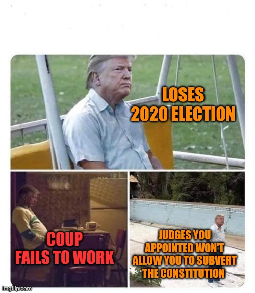 Not the chosen one, the inept one | LOSES 2020 ELECTION; COUP FAILS TO WORK; JUDGES YOU APPOINTED WON'T ALLOW YOU TO SUBVERT THE CONSTITUTION | image tagged in sad sad trump | made w/ Imgflip meme maker