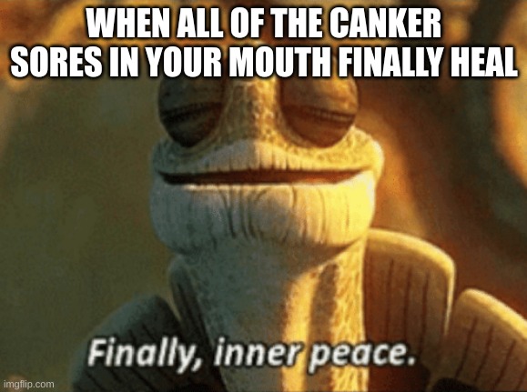 i used to have like 6 at once it was painful | WHEN ALL OF THE CANKER SORES IN YOUR MOUTH FINALLY HEAL | image tagged in finally inner peace | made w/ Imgflip meme maker