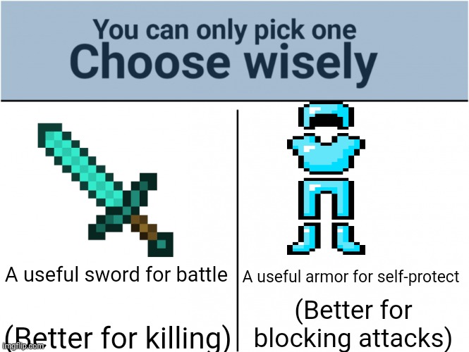JUST PICK ONE | A useful sword for battle; A useful armor for self-protect; (Better for blocking attacks); (Better for killing) | image tagged in choose wisely | made w/ Imgflip meme maker