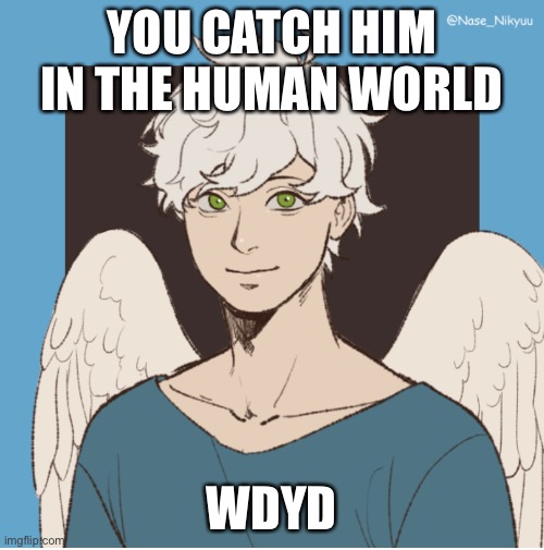 YOU CATCH HIM IN THE HUMAN WORLD; WDYD | made w/ Imgflip meme maker