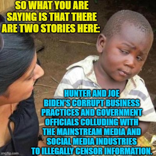 Yep . . . pretty much. | SO WHAT YOU ARE SAYING IS THAT THERE ARE TWO STORIES HERE:; HUNTER AND JOE BIDEN'S CORRUPT BUSINESS PRACTICES AND GOVERNMENT OFFICIALS COLLUDING WITH THE MAINSTREAM MEDIA AND SOCIAL MEDIA INDUSTRIES TO ILLEGALLY CENSOR INFORMATION. | image tagged in so you're telling me | made w/ Imgflip meme maker