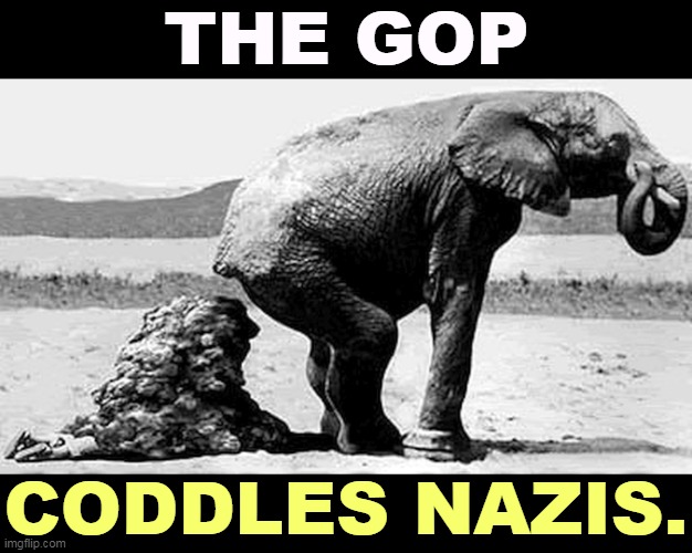 THE GOP; CODDLES NAZIS. | image tagged in gop,republican party,love,nazis,cowards | made w/ Imgflip meme maker