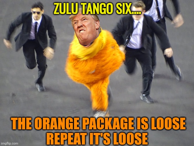 gritty secret service chase | ZULU TANGO SIX.... THE ORANGE PACKAGE IS LOOSE
REPEAT IT'S LOOSE | image tagged in gritty secret service chase | made w/ Imgflip meme maker