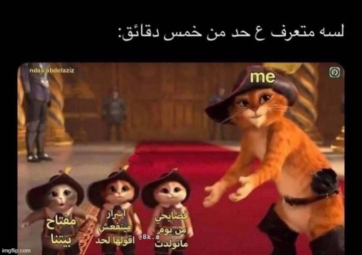 image tagged in foreign | made w/ Imgflip meme maker