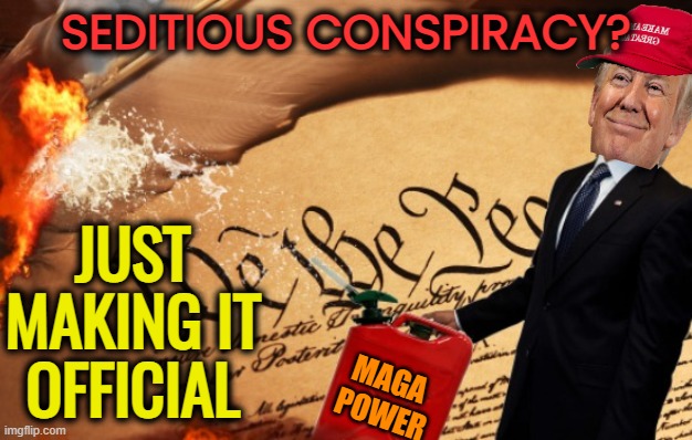 It Begins | SEDITIOUS CONSPIRACY? JUST MAKING IT
OFFICIAL; MAGA
 POWER | image tagged in donald trump,traitor,maga,terrorism,political meme | made w/ Imgflip meme maker