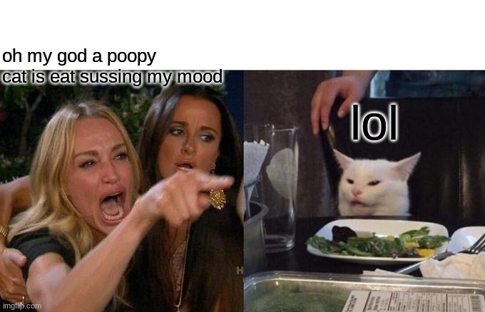 made by my brother (leeniita) | oh my god a poopy cat is eat sussing my mood; lol | image tagged in memes,woman yelling at cat,idk | made w/ Imgflip meme maker