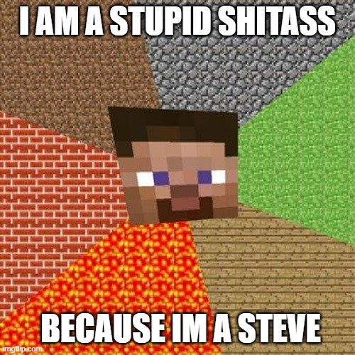 I hate Minecraft Steve | I AM A STUPID SHITASS; BECAUSE IM A STEVE | image tagged in minecraft steve | made w/ Imgflip meme maker