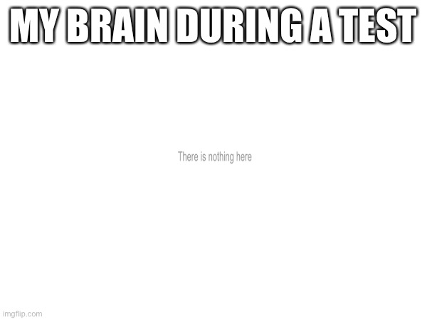 True dat | MY BRAIN DURING A TEST | image tagged in lol so funny | made w/ Imgflip meme maker