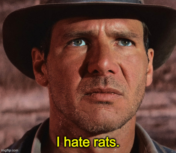 I hate rats. | made w/ Imgflip meme maker