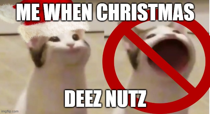 Cat when Christmas | ME WHEN CHRISTMAS; DEEZ NUTZ | image tagged in deez nutz,cat | made w/ Imgflip meme maker