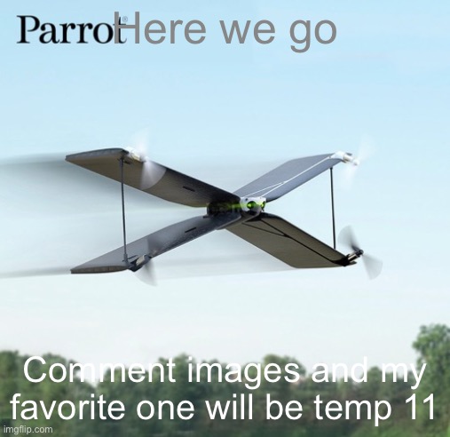 Parrot | Here we go; Comment images and my favorite one will be temp 11 | image tagged in parrot | made w/ Imgflip meme maker