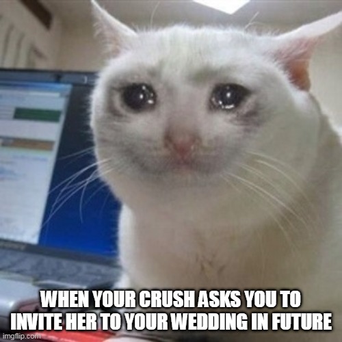 true | WHEN YOUR CRUSH ASKS YOU TO INVITE HER TO YOUR WEDDING IN FUTURE | image tagged in crying cat | made w/ Imgflip meme maker