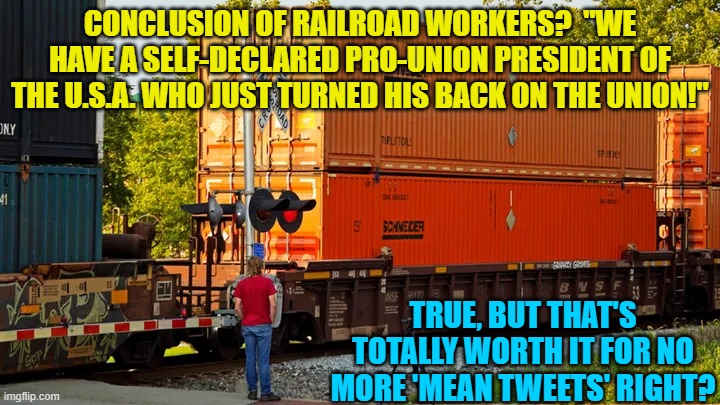 But for 'Orange Man Bad!' Union 'workers' this is a win . . . right?  No more 'Mean Tweets'! | CONCLUSION OF RAILROAD WORKERS?  "WE HAVE A SELF-DECLARED PRO-UNION PRESIDENT OF THE U.S.A. WHO JUST TURNED HIS BACK ON THE UNION!"; TRUE, BUT THAT'S TOTALLY WORTH IT FOR NO MORE 'MEAN TWEETS' RIGHT? | image tagged in tweets | made w/ Imgflip meme maker