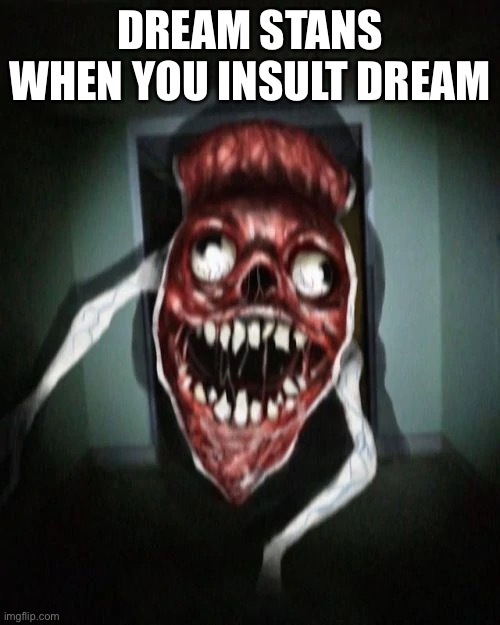 Angry bridge worm | DREAM STANS WHEN YOU INSULT DREAM | image tagged in angry bridge worm | made w/ Imgflip meme maker