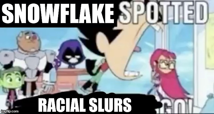 https://imgflip.com/i/733zct THIS IS THE IMAGE I WANT YOU TO ATTACK | SNOWFLAKE; RACIAL SLURS | image tagged in ____ spotted ____ go | made w/ Imgflip meme maker