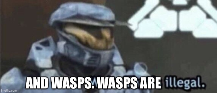 Wait that’s illegal | AND WASPS. WASPS ARE | image tagged in wait that s illegal | made w/ Imgflip meme maker
