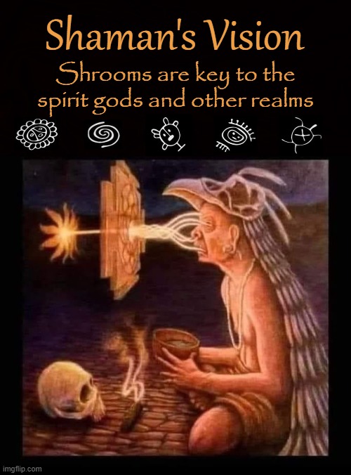 Vision Quest | Shaman's Vision; Shrooms are key to the spirit gods and other realms | image tagged in shaman,native american,arawak,shrooms,astral plane,scrying | made w/ Imgflip meme maker