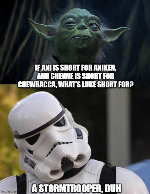 Good Question | IF ANI IS SHORT FOR ANIKEN, AND CHEWIE IS SHORT FOR CHEWBACCA, WHAT'S LUKE SHORT FOR? A STORMTROOPER, DUH | image tagged in yoda thinks,confused stormtrooper | made w/ Imgflip meme maker