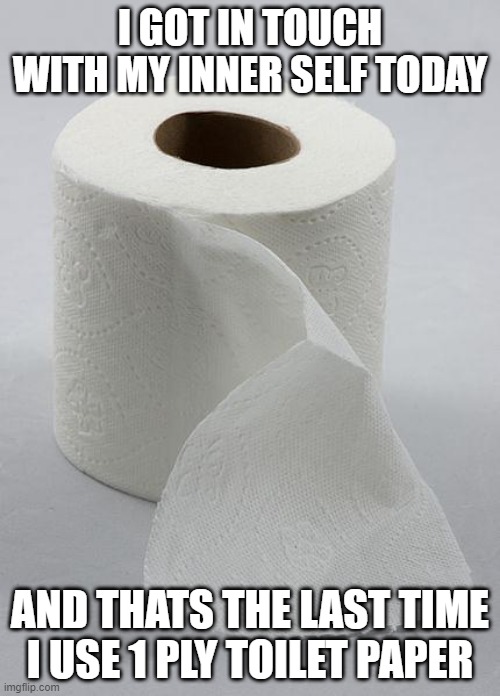 Eww | I GOT IN TOUCH WITH MY INNER SELF TODAY; AND THATS THE LAST TIME I USE 1 PLY TOILET PAPER | image tagged in toilet paper | made w/ Imgflip meme maker