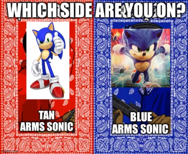 Sonic types | image tagged in which side are you on | made w/ Imgflip meme maker