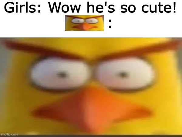 Girls: Wow he's so cute! : | made w/ Imgflip meme maker