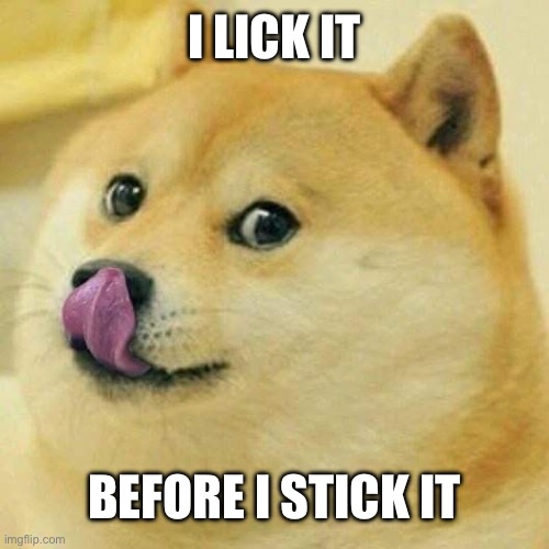 Doge Tongue | I LICK IT; BEFORE I STICK IT | image tagged in doge tongue | made w/ Imgflip meme maker