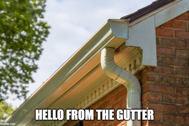 Hello From The Gutter | HELLO FROM THE GUTTER | image tagged in gutter,overkill,hello from the gutter,the gutter,hello,hi | made w/ Imgflip meme maker