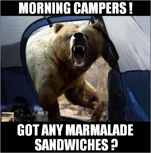 Bear Has Taste Preference ! | MORNING CAMPERS ! GOT ANY MARMALADE 
SANDWICHES ? | image tagged in fun,bears,camping,sandwich | made w/ Imgflip meme maker