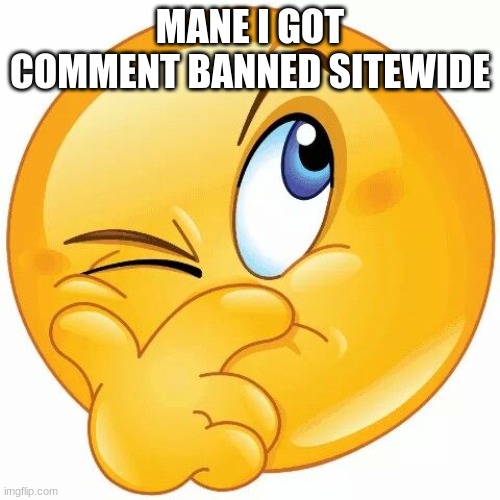 i did a little trolling | MANE I GOT COMMENT BANNED SITEWIDE | image tagged in think emoji | made w/ Imgflip meme maker