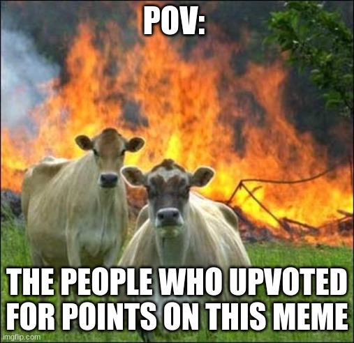 Evil Cows Meme | POV: THE PEOPLE WHO UPVOTED FOR POINTS ON THIS MEME | image tagged in memes,evil cows | made w/ Imgflip meme maker