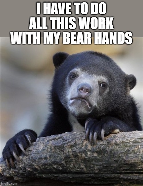 bear hands | I HAVE TO DO ALL THIS WORK WITH MY BEAR HANDS | image tagged in memes,confession bear | made w/ Imgflip meme maker