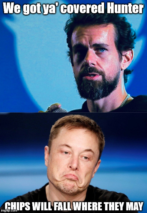 Chips Fall | We got ya' covered Hunter; CHIPS WILL FALL WHERE THEY MAY | image tagged in jack dorsey,sad elon | made w/ Imgflip meme maker