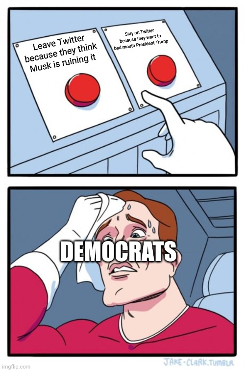 Two Buttons | Stay on Twitter because they want to bad mouth President Trump; Leave Twitter because they think Musk is ruining it; DEMOCRATS | image tagged in memes,two buttons | made w/ Imgflip meme maker